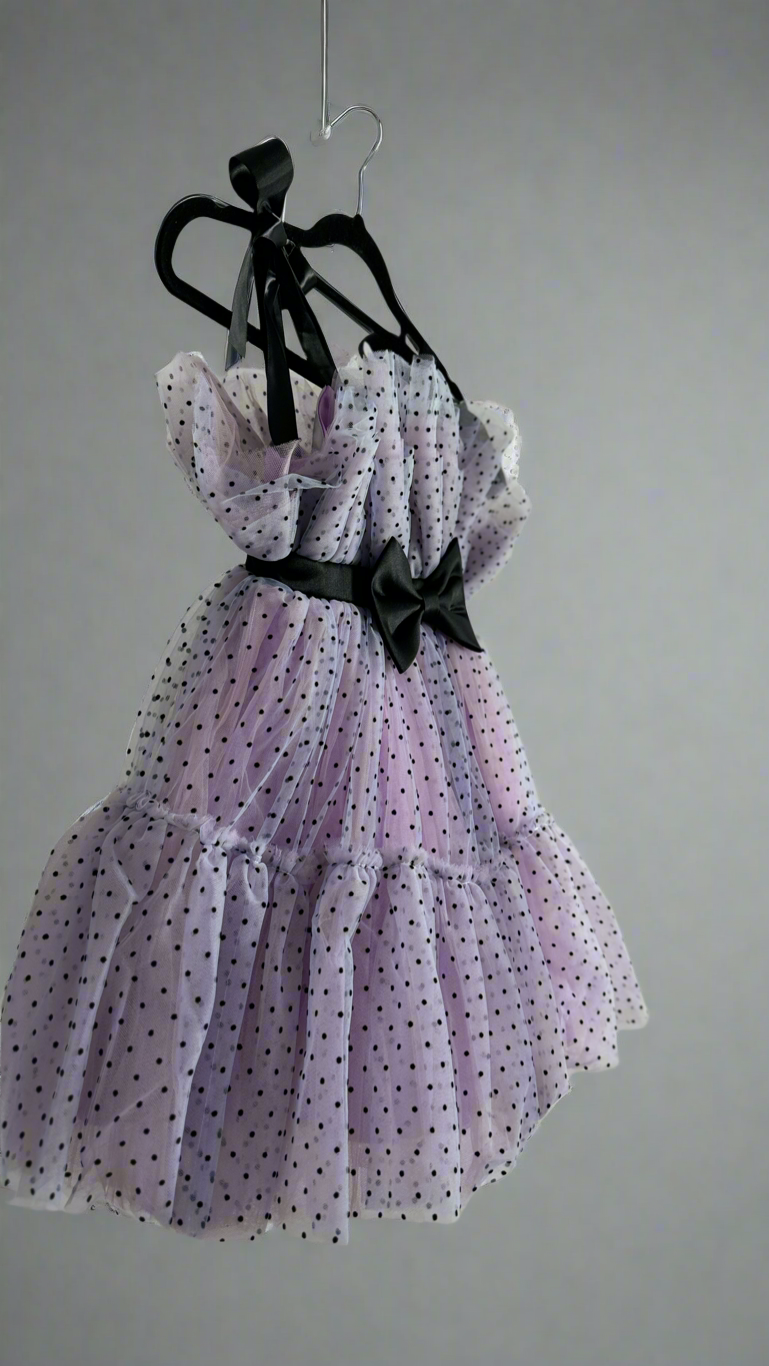 Polka dot Mesh Dress